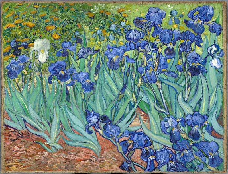 Vincent van Gogh. Iris, 1889